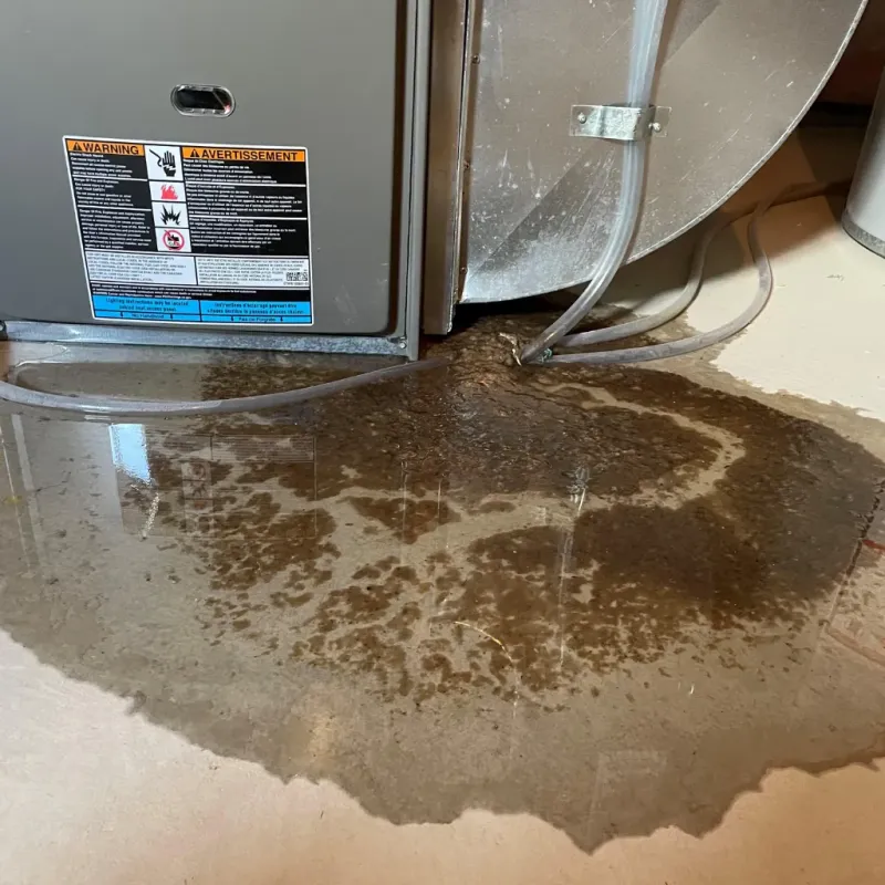 Appliance Leak Cleanup in Amite County, MS